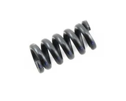 Kyosho Slipper Spring